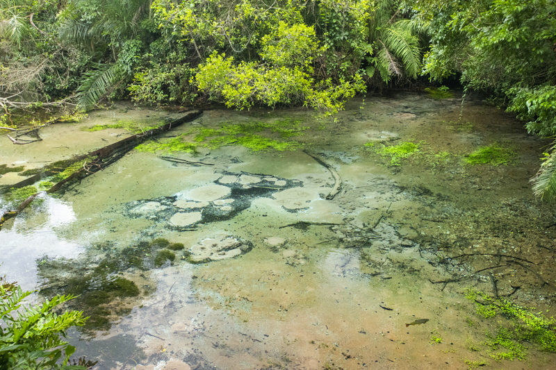 Bonito - Photo by Hudson Garcia (2)